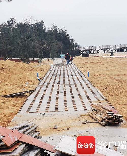 原創組圖 ?？谖骱０敦炌ǜ鹿こ套钚逻M展 國際會展中心附近沿海新建路完成瀝青路面鋪設